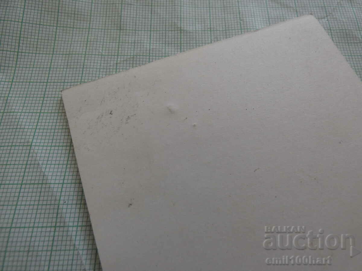 Card - Breznik - 7 Card - Breznik - 7