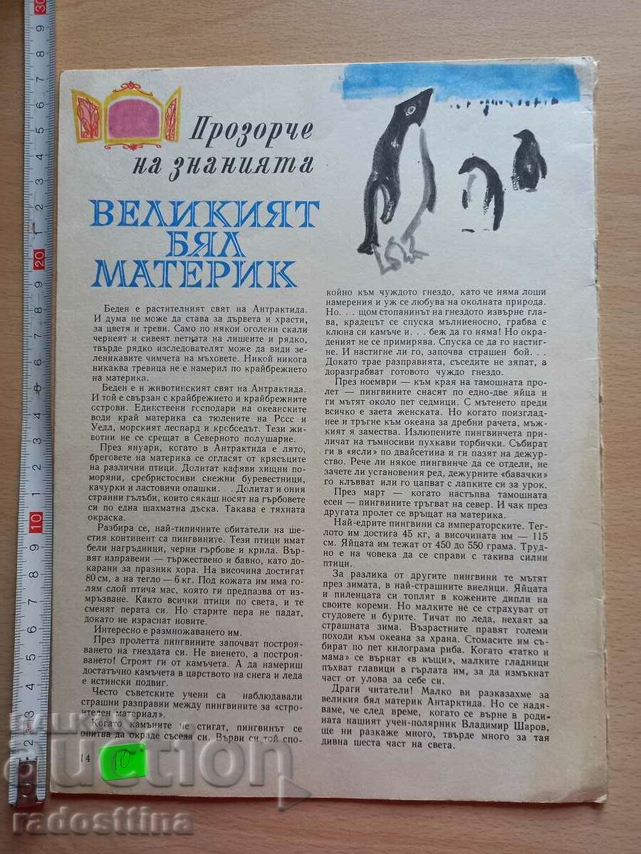 Druzhinka booklet 3, year XVIII, March 1966 with price 9.99 BGN | € 5.11 Druzhinka booklet 3, year XVIII, March 1966 with price 9.99 BGN | € 5.11