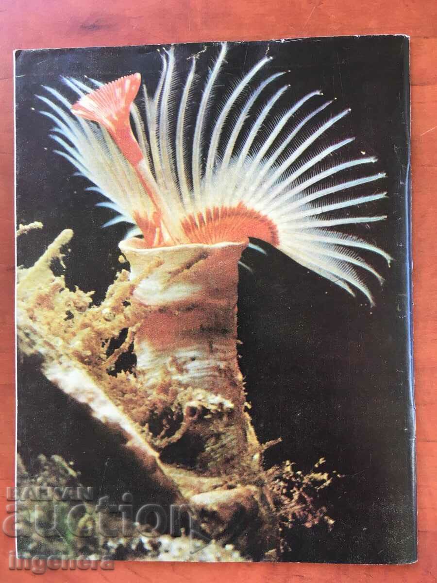 KOSMOS MAGAZINE KN-2/1980 with price 3.00 BGN | € 1.53 KOSMOS MAGAZINE KN-2/1980 with price 3.00 BGN | € 1.53