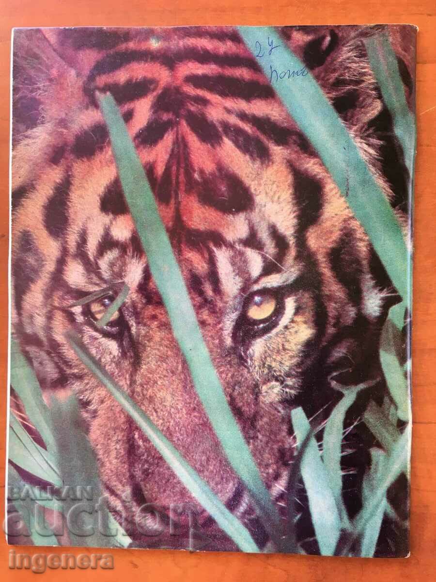 KOSMOS MAGAZINE KN-3/1980 with price 3.00 BGN | € 1.53 KOSMOS MAGAZINE KN-3/1980 with price 3.00 BGN | € 1.53