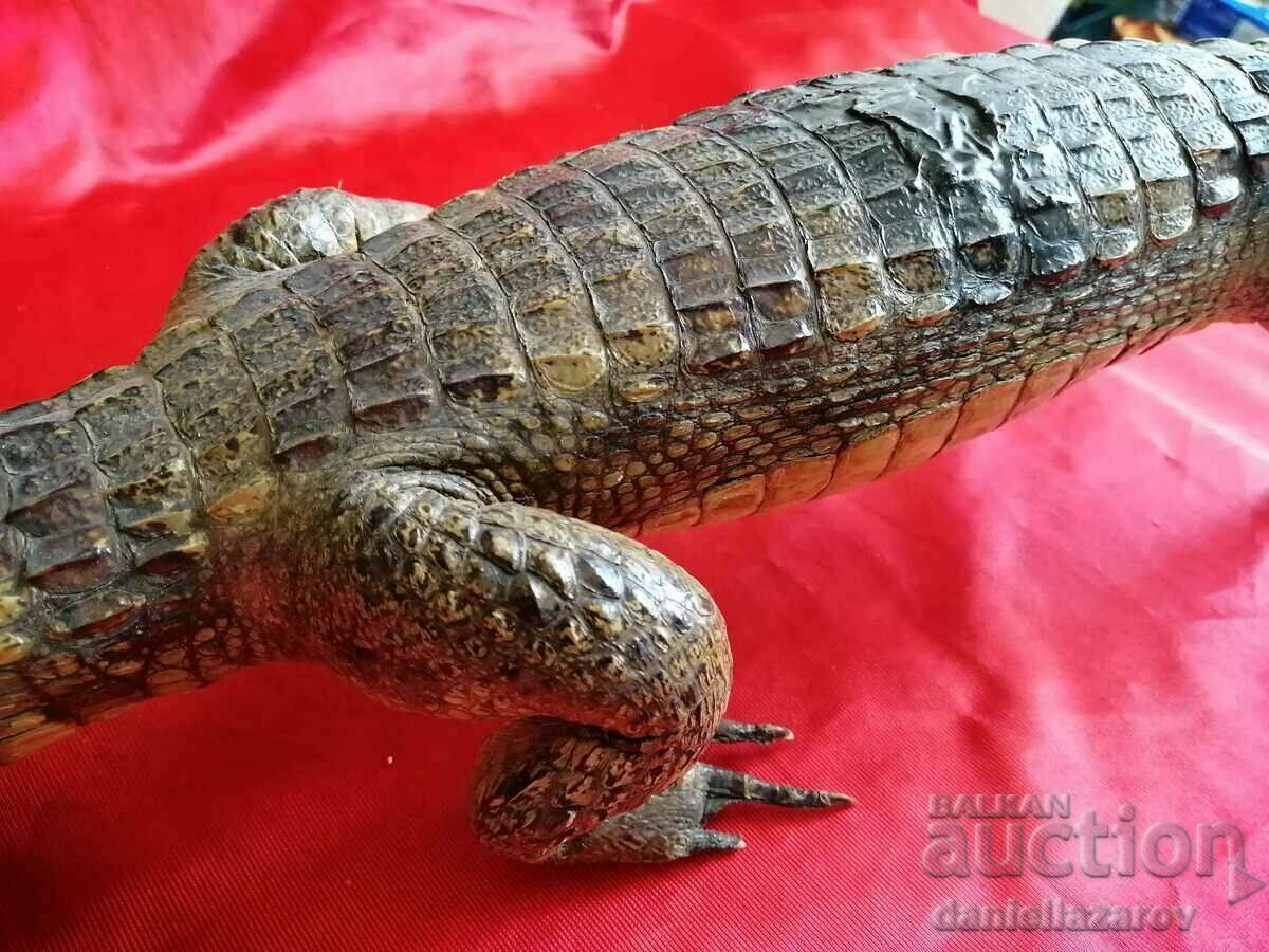 Доставка на КРОКОДИЛ Доставка на КРОКОДИЛ