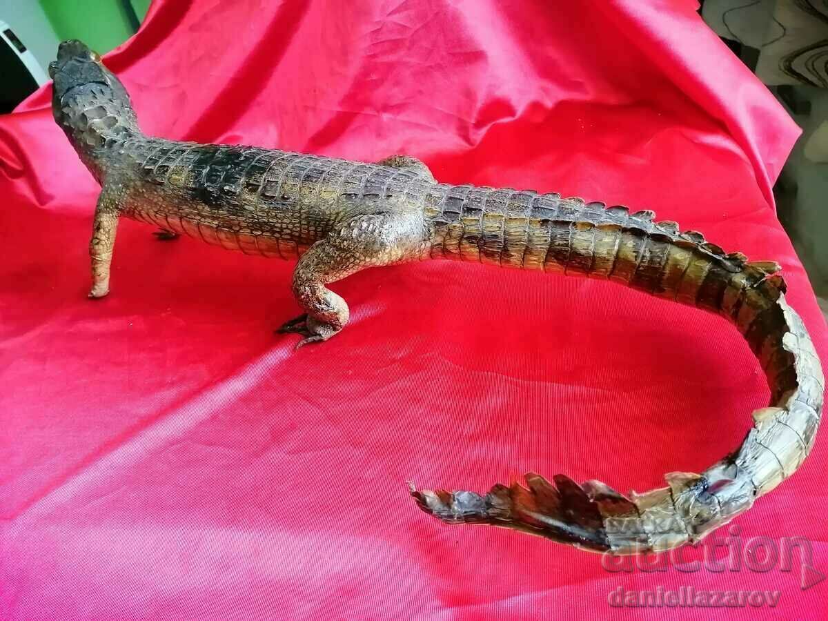 КРОКОДИЛ - 5 КРОКОДИЛ - 5