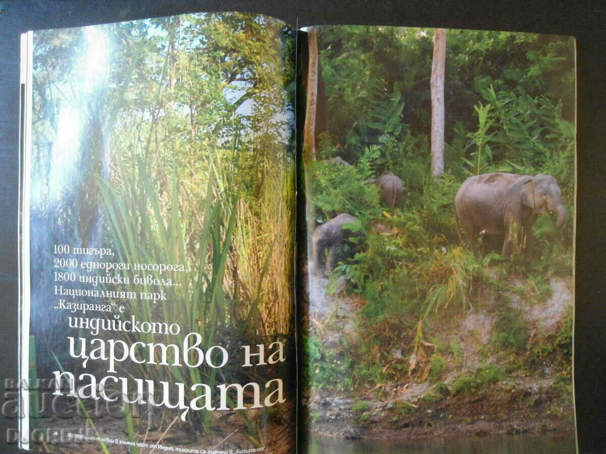 Gropile albastre ale oceanului, NATIONAL GEOGRAFIC - 5 Gropile albastre ale oceanului, NATIONAL GEOGRAFIC - 5