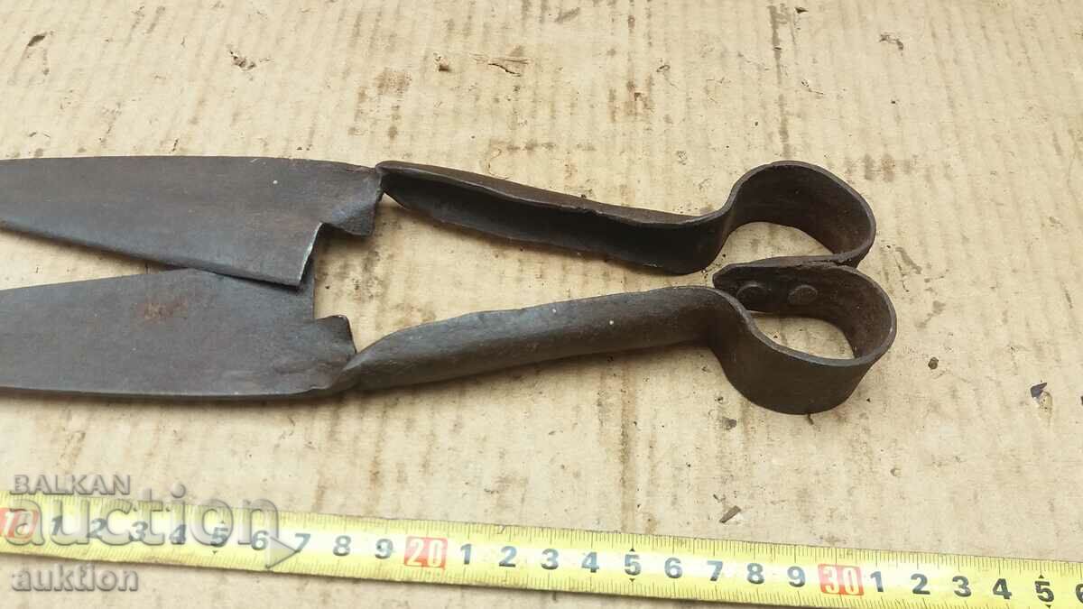 Licitație FOARCE VECHE DE OI RENACERE Licitație FOARCE VECHE DE OI RENACERE