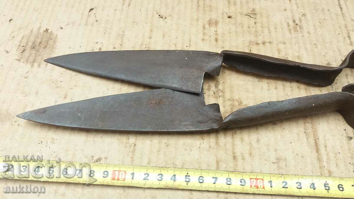 Livrarea FOARCE VECHE DE OI RENACERE Livrarea FOARCE VECHE DE OI RENACERE