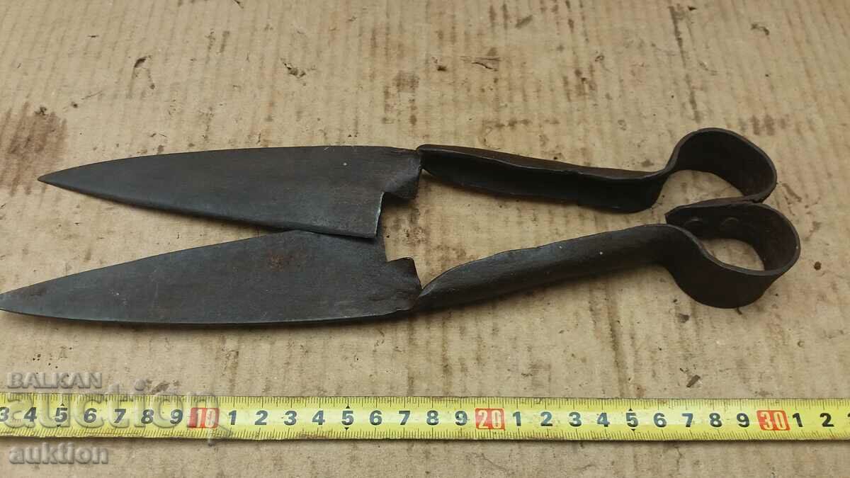 FOARCE VECHE DE OI RENACERE - 5 FOARCE VECHE DE OI RENACERE - 5