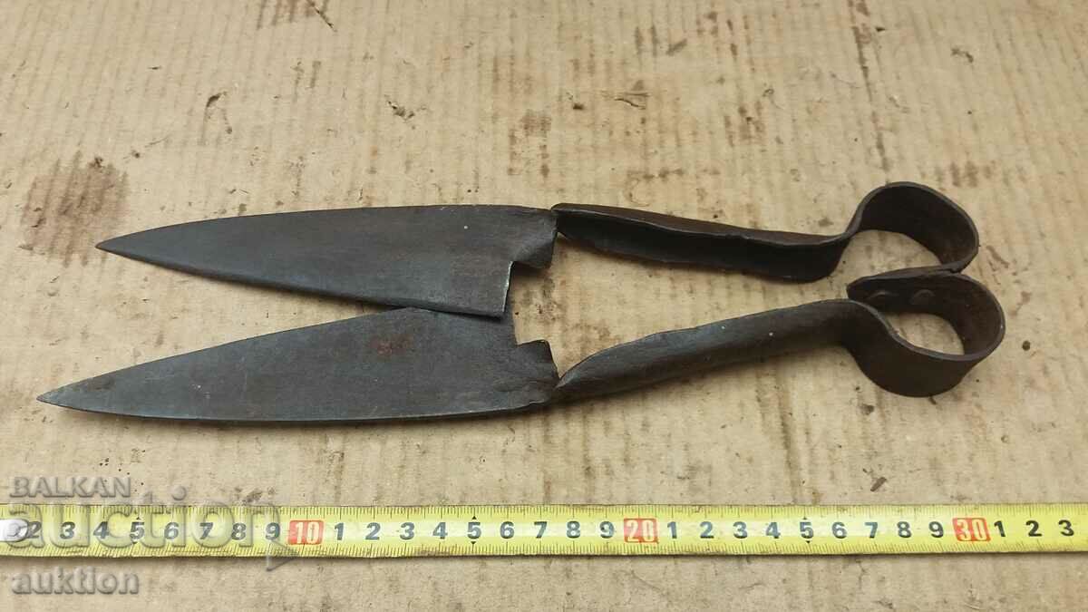 FOARCE VECHE DE OI RENACERE - 6 FOARCE VECHE DE OI RENACERE - 6