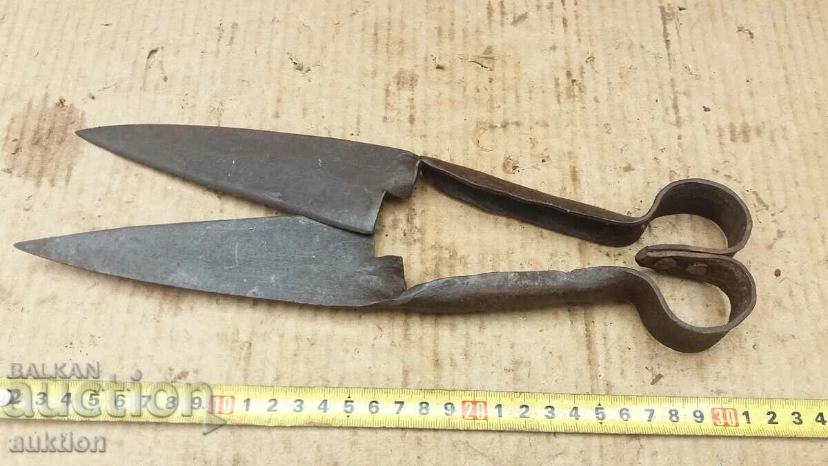 FOARCE VECHE DE OI RENACERE - 7 FOARCE VECHE DE OI RENACERE - 7