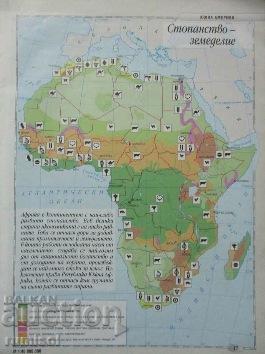 Auction Atlas and contour maps assignments in geography and economics - 6 cl Auction Atlas and contour maps assignments in geography and economics - 6 cl