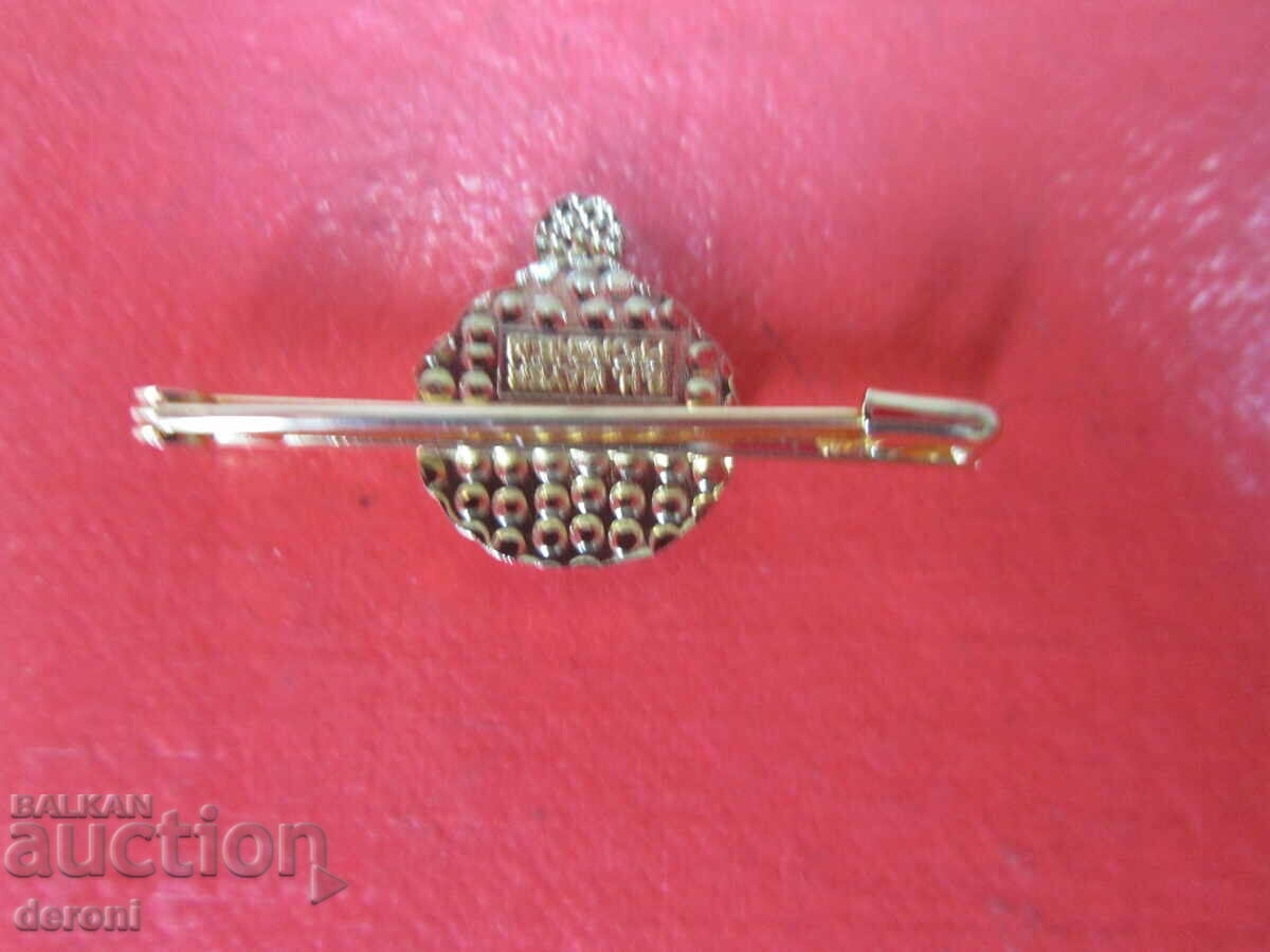 Livrarea Semn minunat de insignă