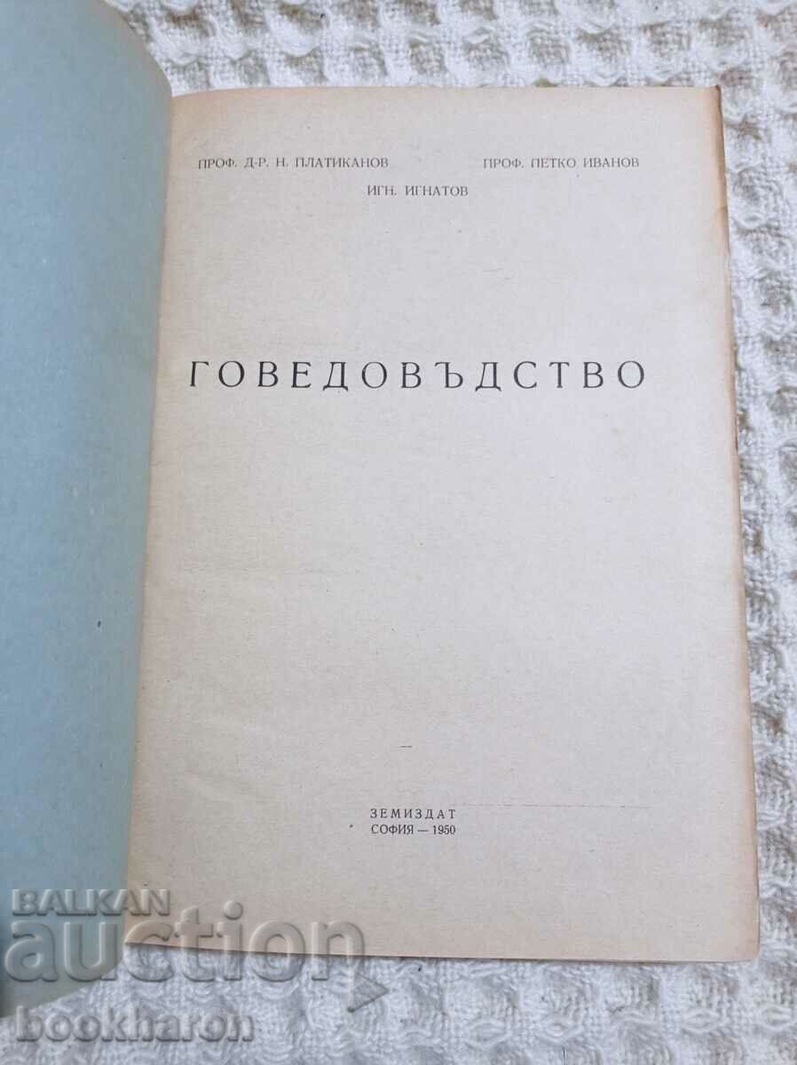 Cattle breeding with price 20.00 BGN | € 10.23 Cattle breeding with price 20.00 BGN | € 10.23