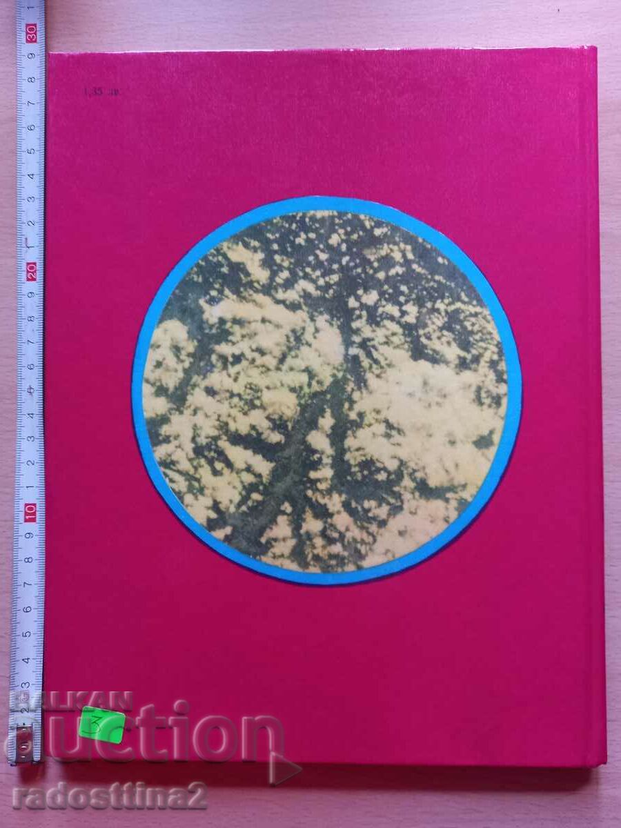 The first cosmonaut Victor Sinicin with price 2.99 BGN | € 1.53