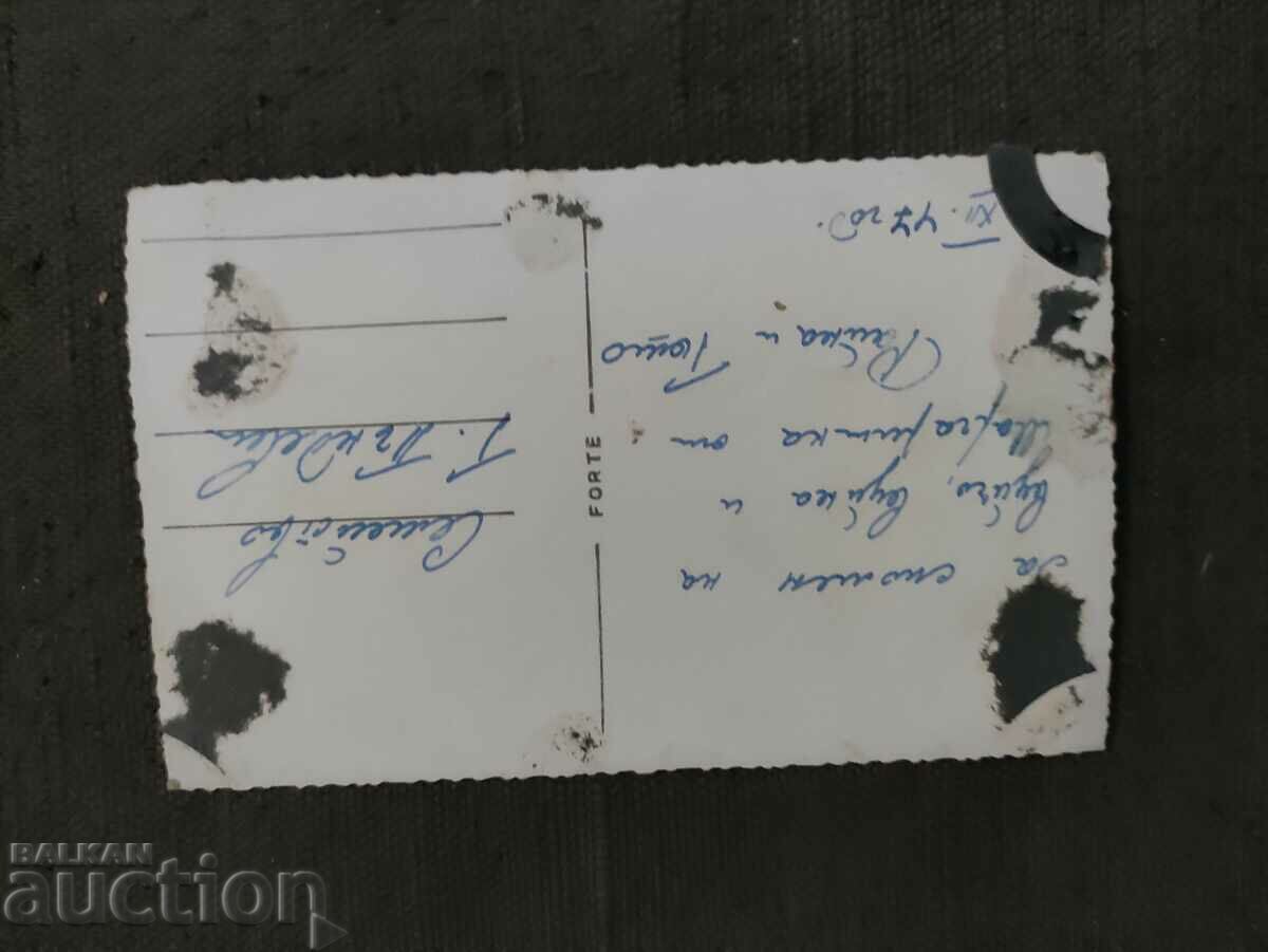 Bride, newlyweds wedding photo with price 20.00 BGN | € 10.23 Bride, newlyweds wedding photo with price 20.00 BGN | € 10.23