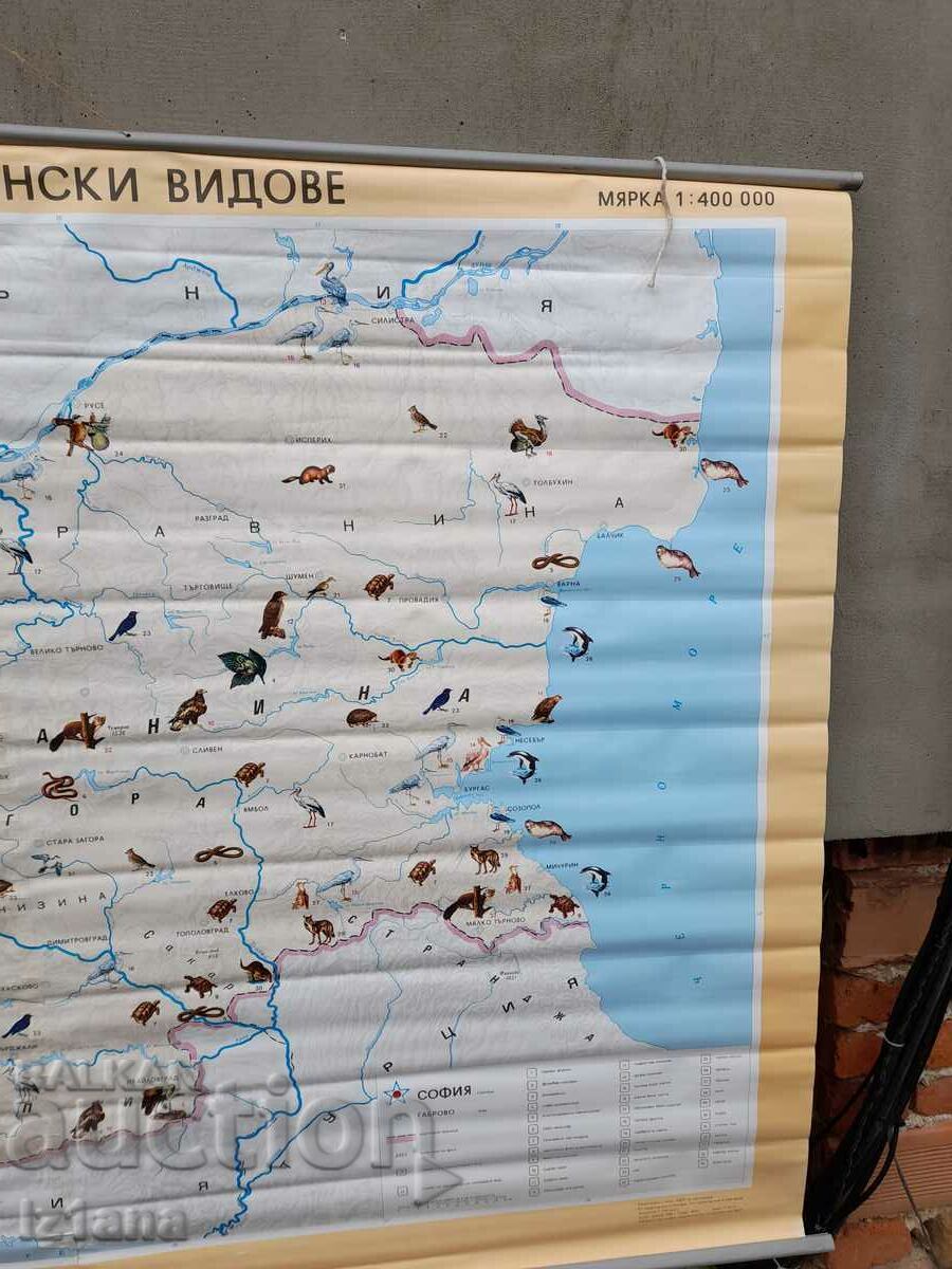 Delivery of Old study card Protected animal species Delivery of Old study card Protected animal species