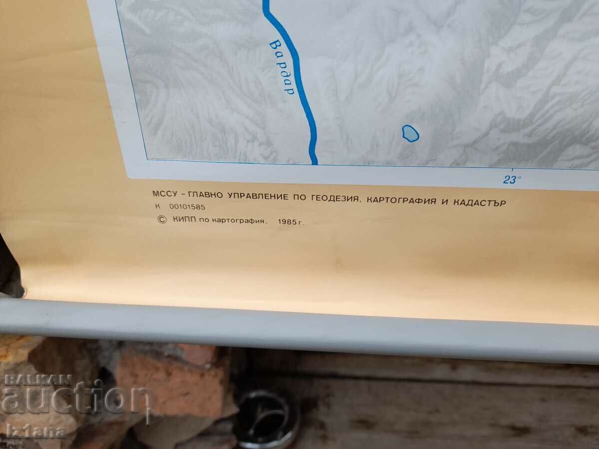 Old study card Protected animal species - 5 Old study card Protected animal species - 5