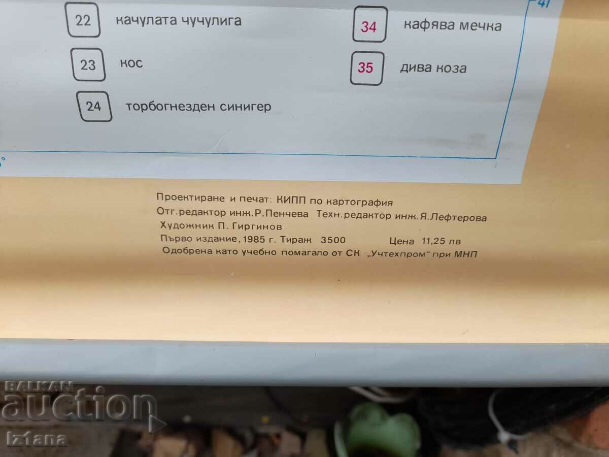 Old study card Protected animal species - 6 Old study card Protected animal species - 6