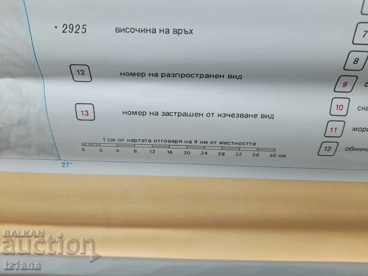 Old study card Protected animal species - 7 Old study card Protected animal species - 7