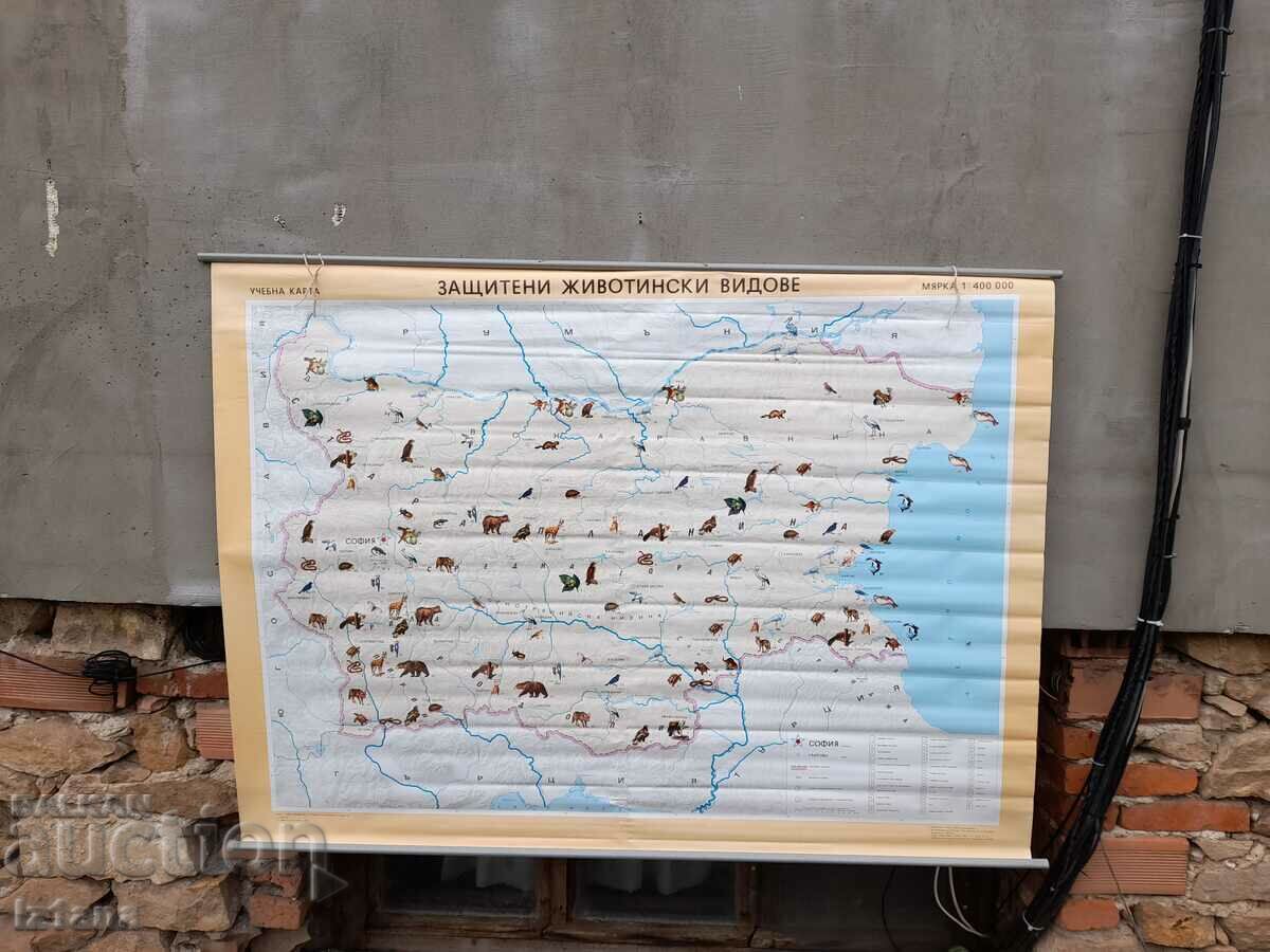 Old study card Protected animal species Old study card Protected animal species