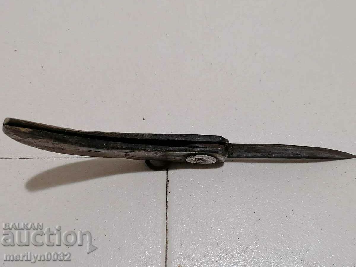 An old leg of a bull with buffalo horns - 7 An old leg of a bull with buffalo horns - 7