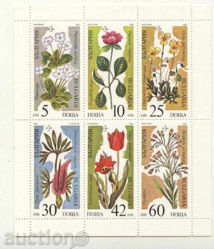 Чисти марки  в малък лист Редки растения 1989  България
