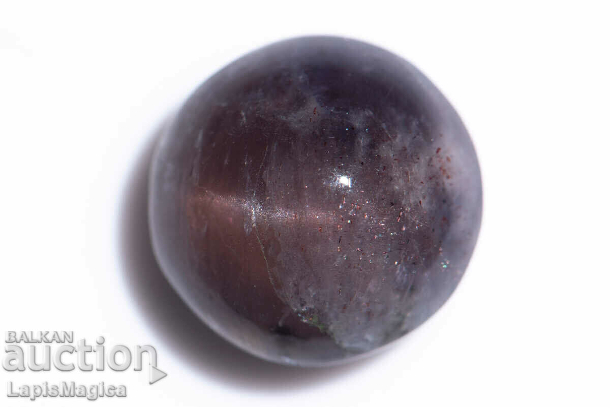 Iolite with cat's eye effect 7.04ct oval