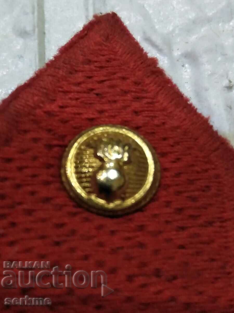 Παράδοση μονόγραμμα Παράδοση μονόγραμμα