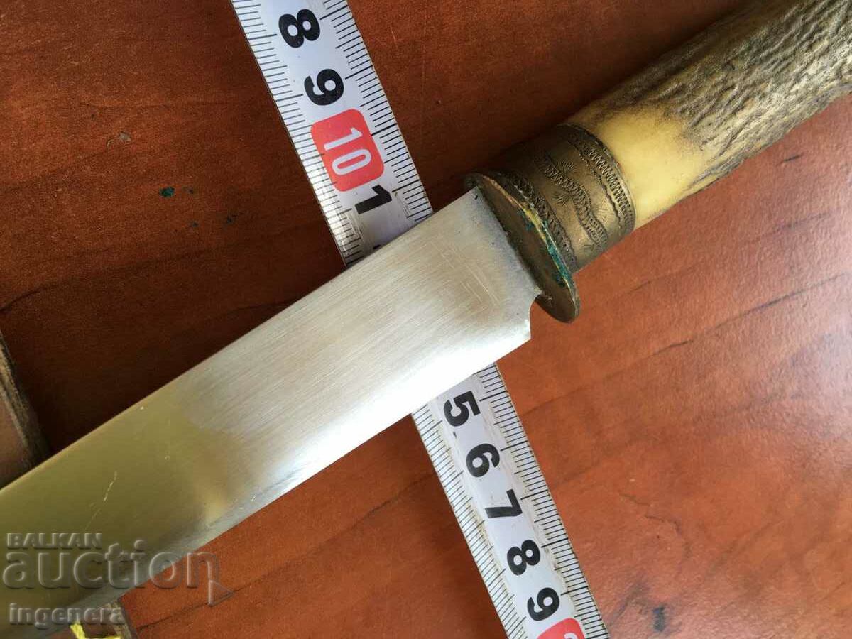 KNIFE BLADE HUNTING KNIFE HORN COLORED - 7 KNIFE BLADE HUNTING KNIFE HORN COLORED - 7