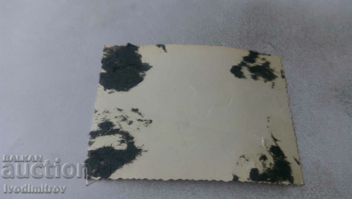 Photo Soldiers harnessed by two black horses with price 1.65 BGN | € 0.84 Photo Soldiers harnessed by two black horses with price 1.65 BGN | € 0.84