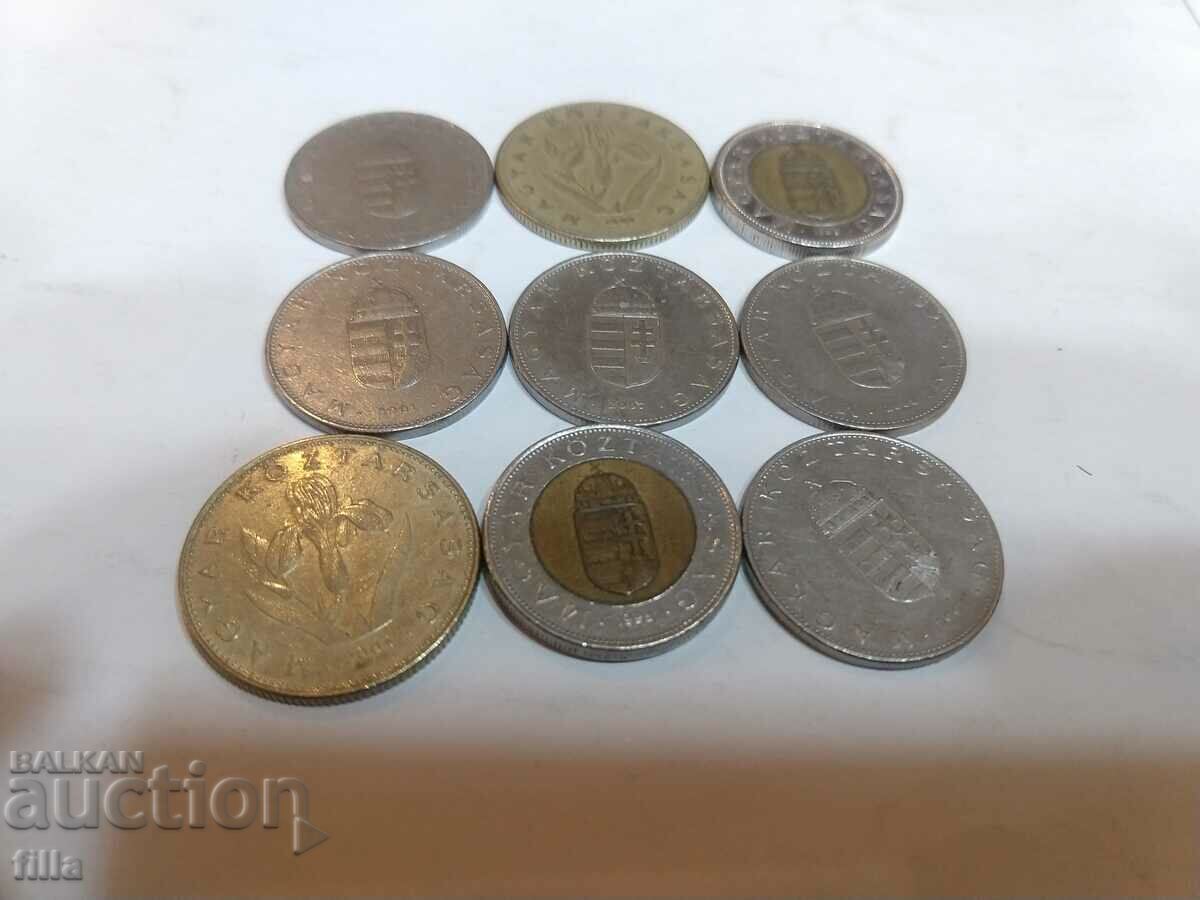 Auction  Coins