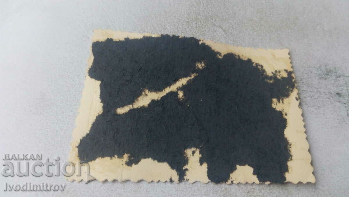 Photo Sofia A woman and two little girls on a walk with price 2.35 BGN | € 1.20 Photo Sofia A woman and two little girls on a walk with price 2.35 BGN | € 1.20