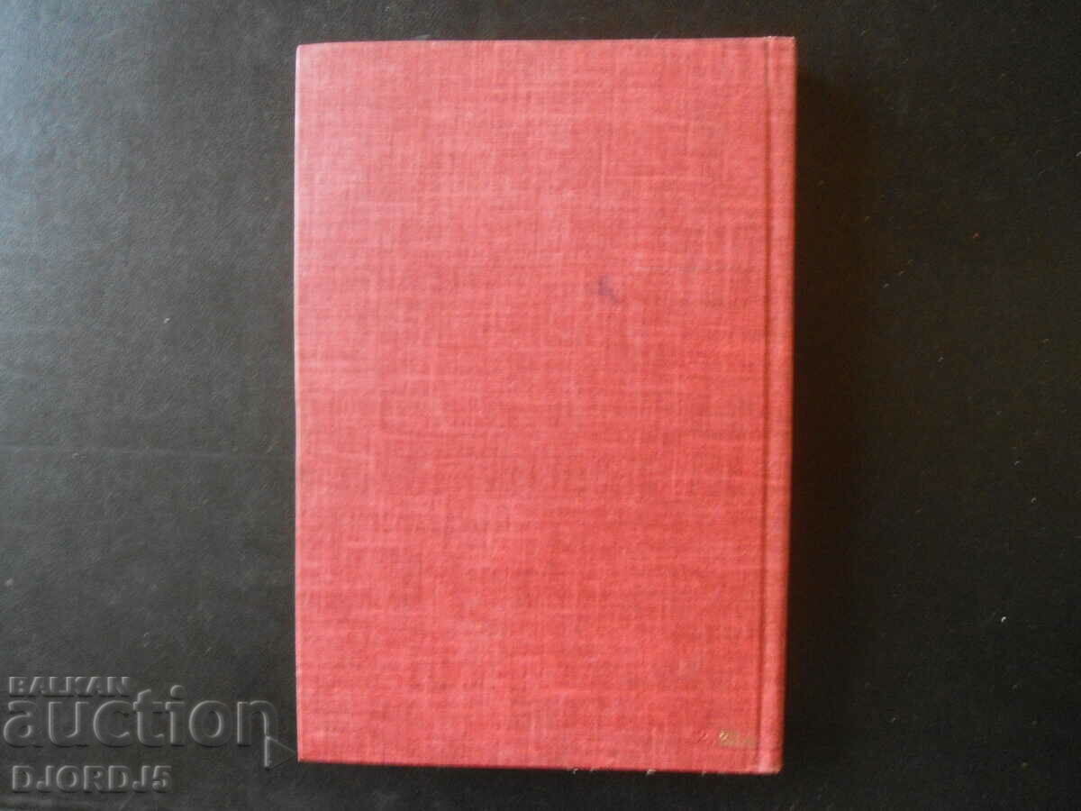 Chapaev, Dmitry Furmanov - 6 Chapaev, Dmitry Furmanov - 6