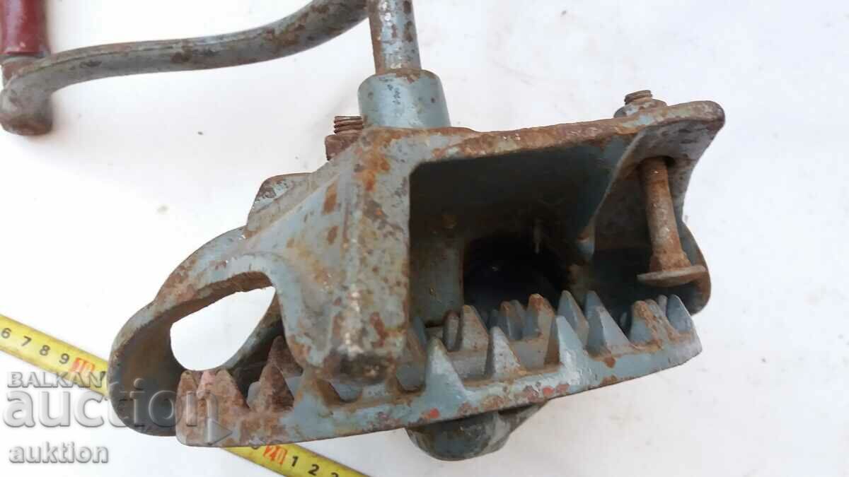 EXCELLENT SMELL, CORN, CORN - 6 EXCELLENT SMELL, CORN, CORN - 6