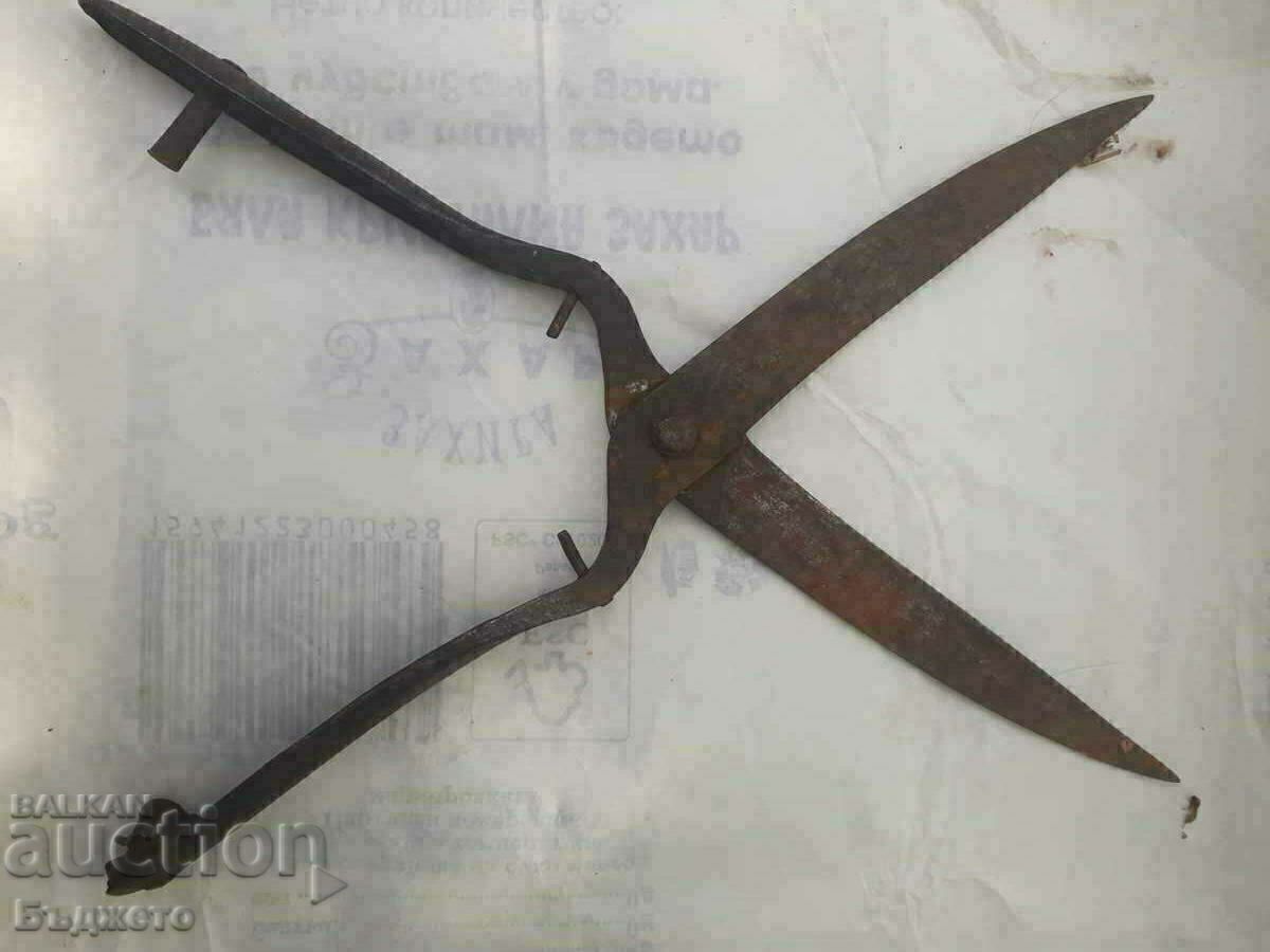 Delivery of Forged scissors, chopper and hand corn colander Delivery of Forged scissors, chopper and hand corn colander