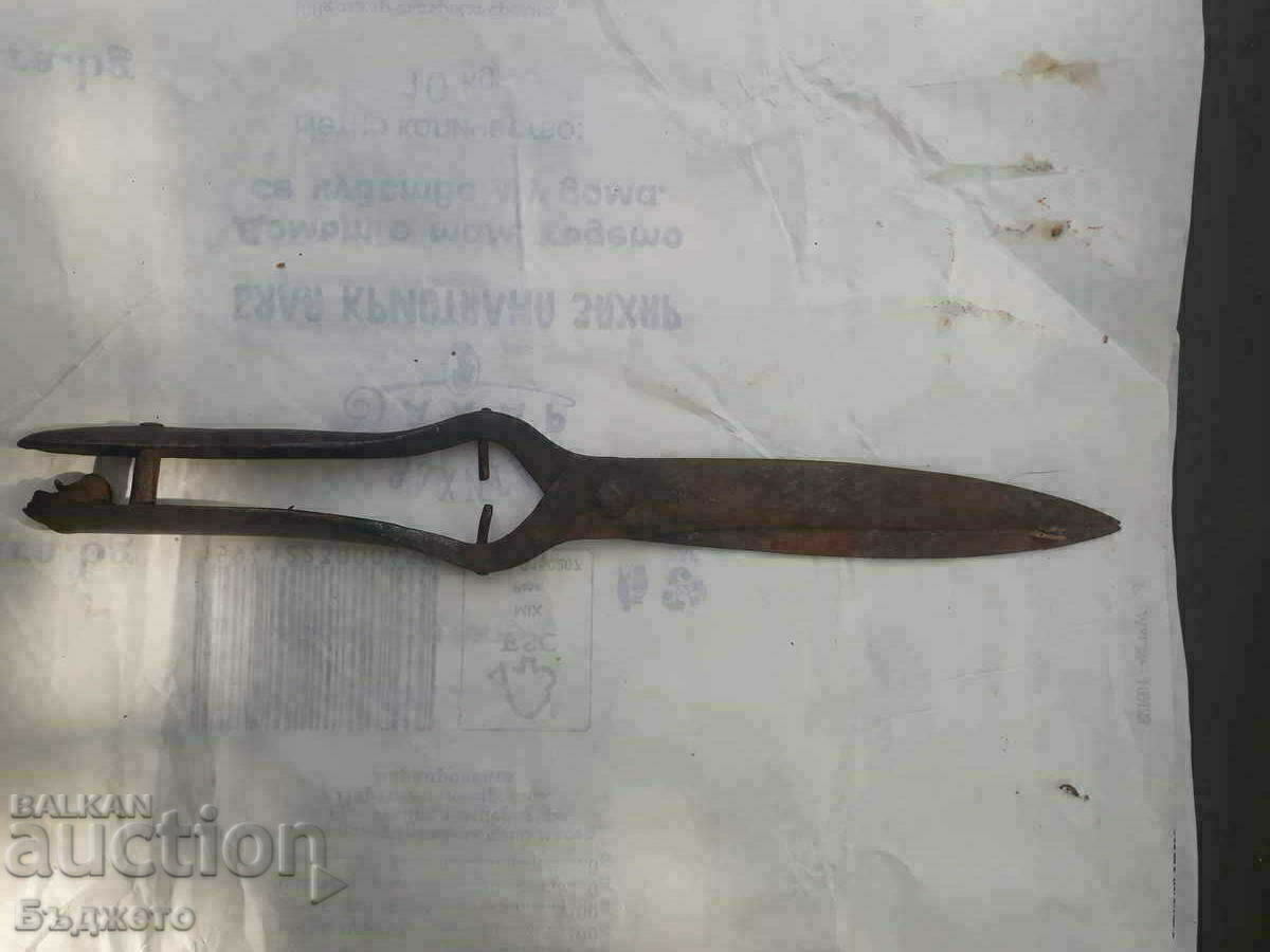 Forged scissors, chopper and hand corn colander - 5 Forged scissors, chopper and hand corn colander - 5