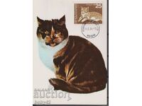 rt maximum. Cats, date stamp Sofia 1984