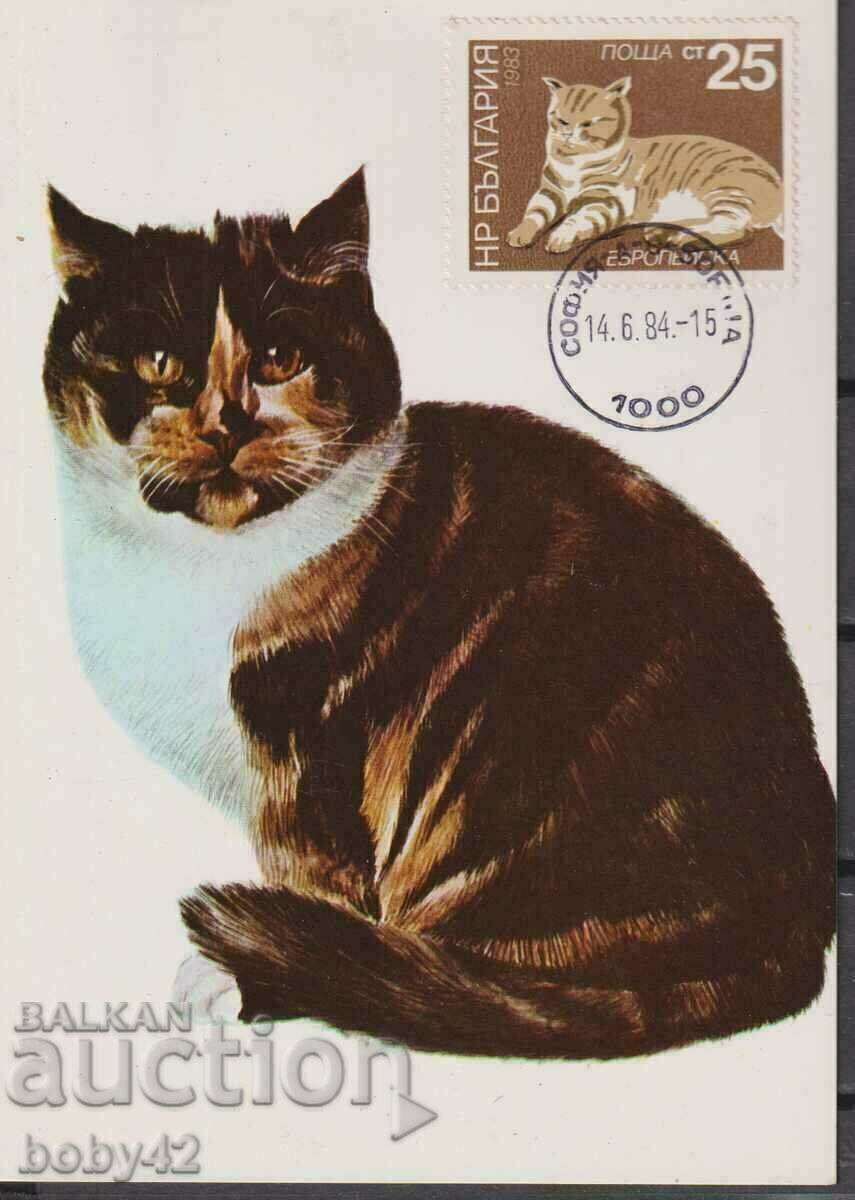 Card max. Pisici, timbru data Sofia 1984