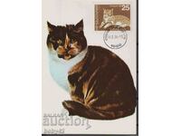 Κάρτα μέγ. Γάτες, σφραγίδα ημερομηνίας Σόφια 1984