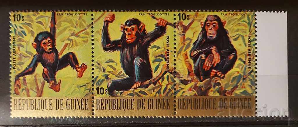 Γουινέα 1977 Πανίδα / Ζώα / Χιμπατζής Gold MNH