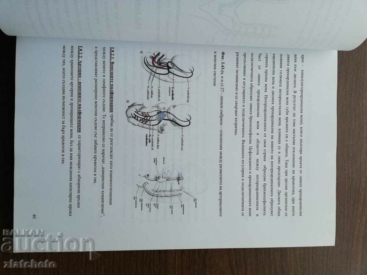 Auction Rosen Drebov - Congenital surgical diseases of the neck in .. Auction Rosen Drebov - Congenital surgical diseases of the neck in ..