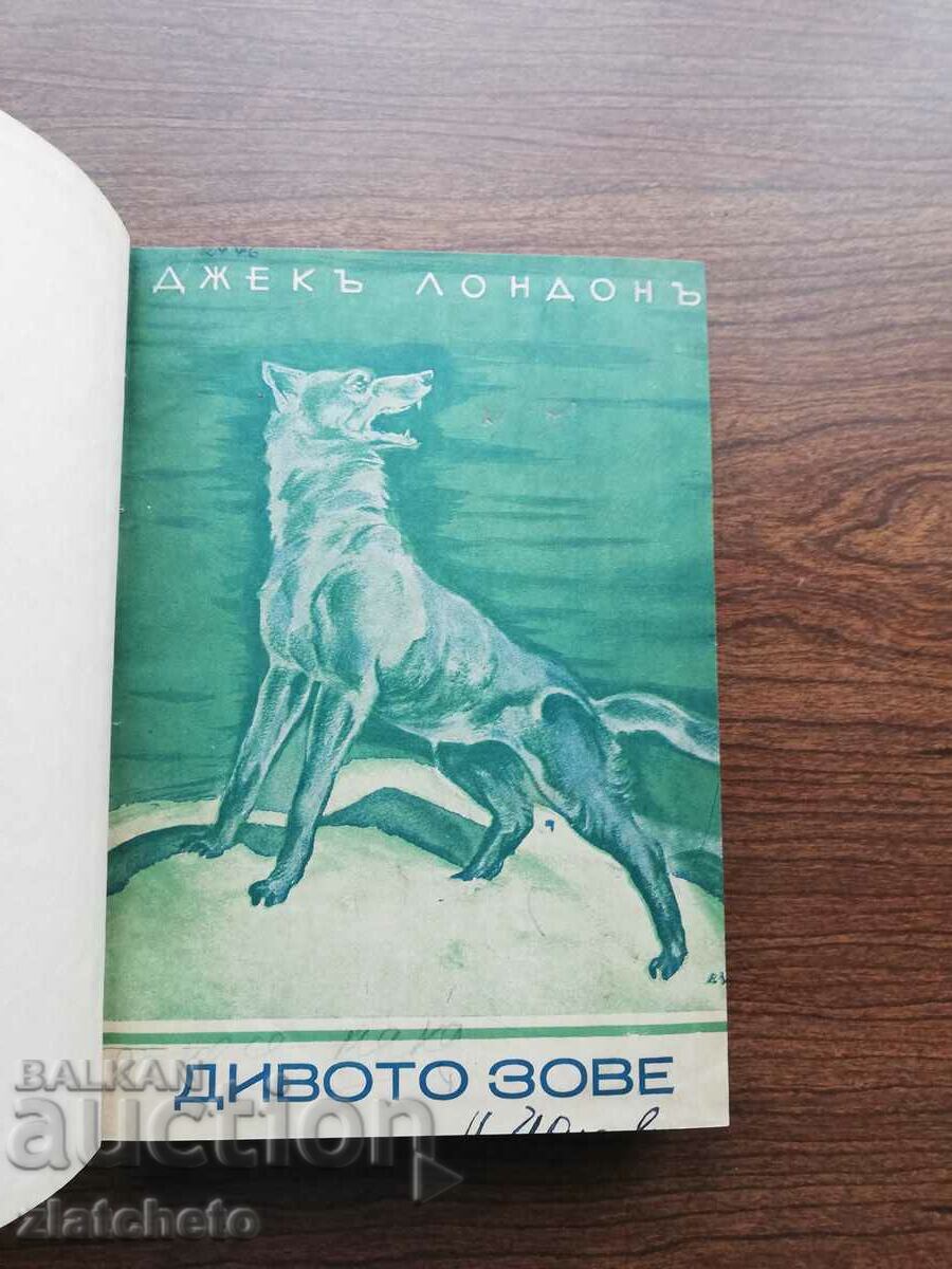 Jack London - Calling the Wild and two more books with price 12.00 BGN | € 6.14 Jack London - Calling the Wild and two more books with price 12.00 BGN | € 6.14