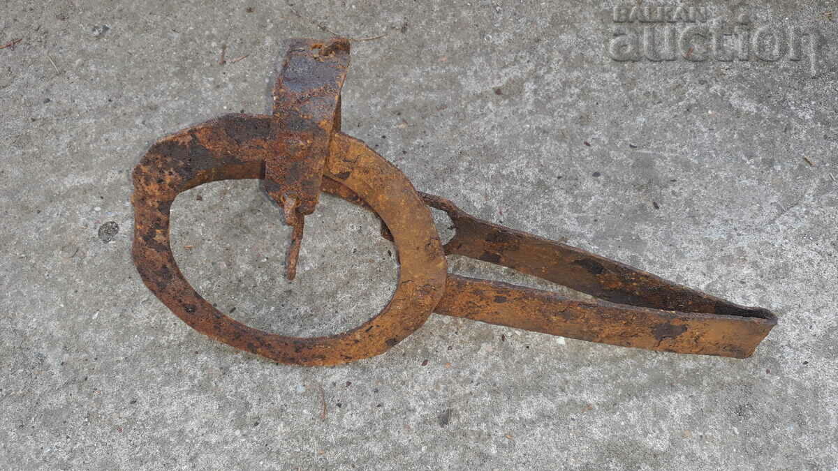 antique primitive small forged trap for white gold WORKING - 6 antique primitive small forged trap for white gold WORKING - 6