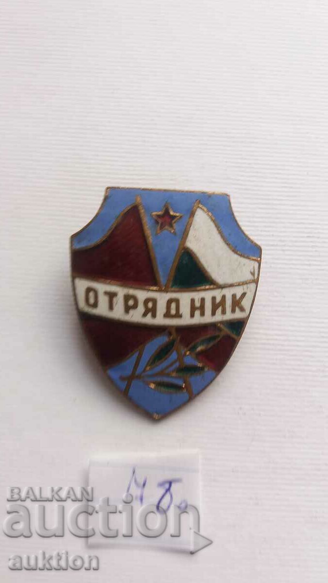 Auction  BADGE - WALKER - BRONZE ENAMEL