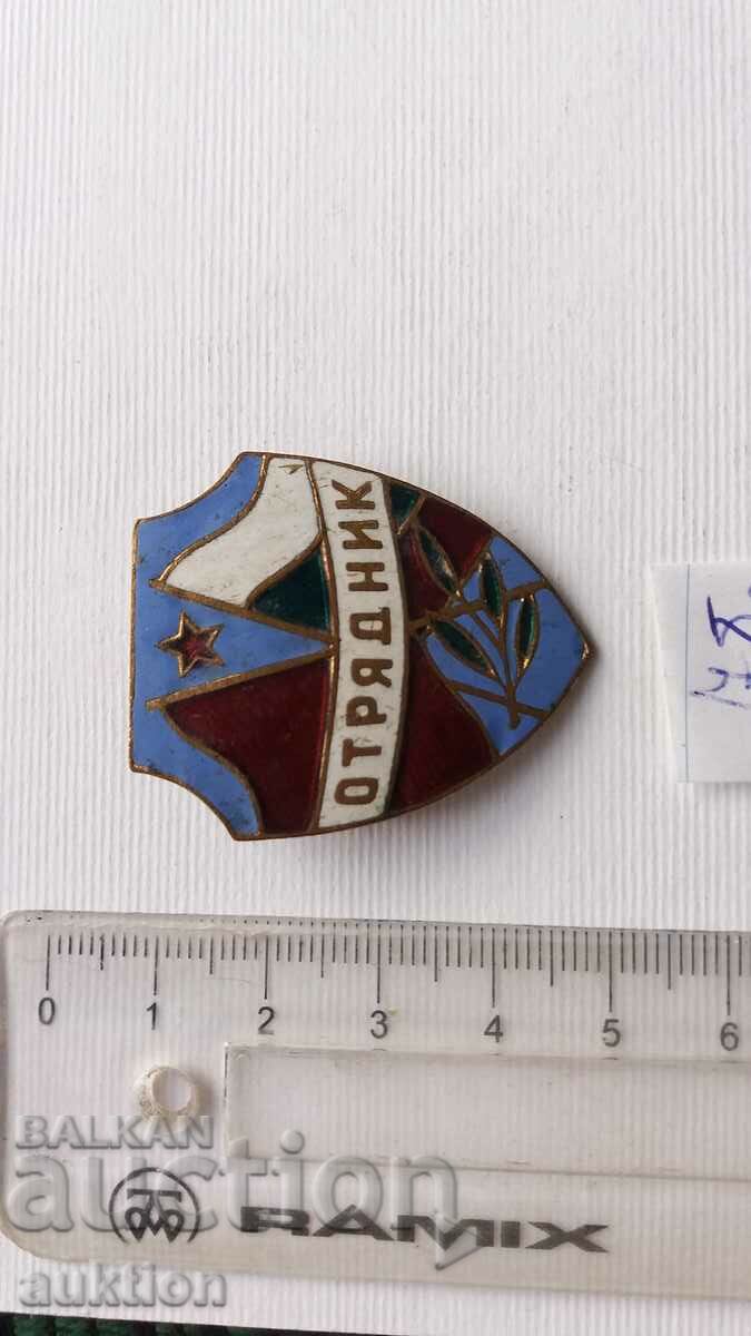 Delivery of BADGE - WALKER - BRONZE ENAMEL