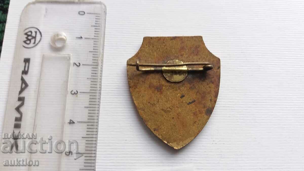 BADGE - WALKER - BRONZE ENAMEL - 6