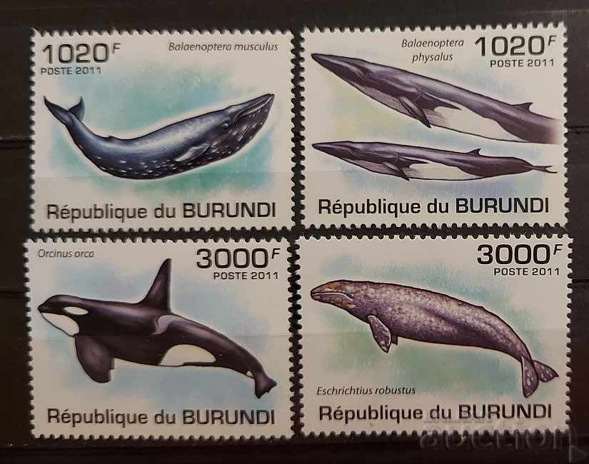Burundi 2011 Fauna / Animals / Fish 8 € MNH