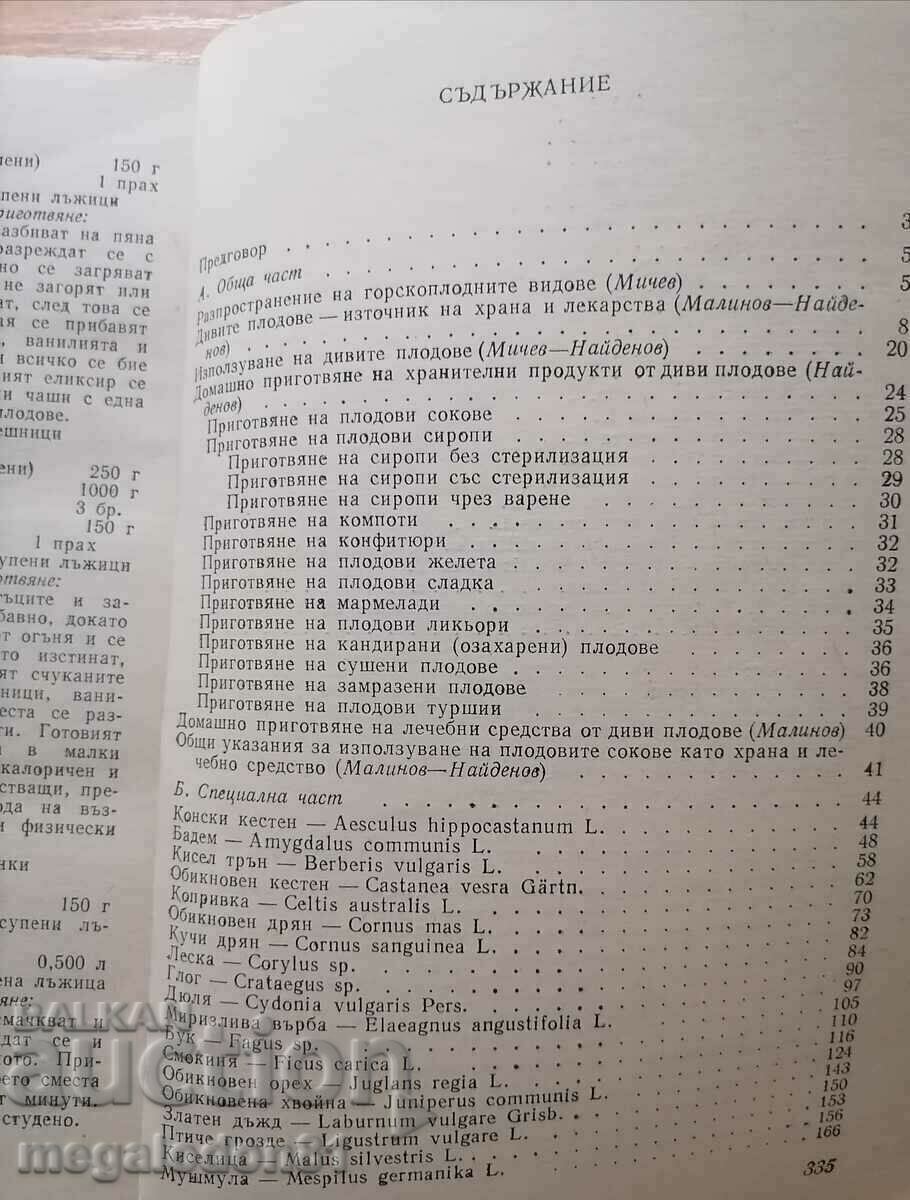 Wild fruits - food and medicine with price 8.00 BGN | € 4.09