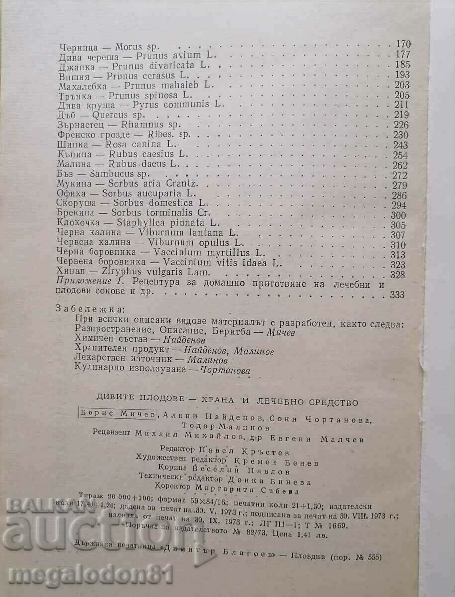 Auction  Wild fruits - food and medicine