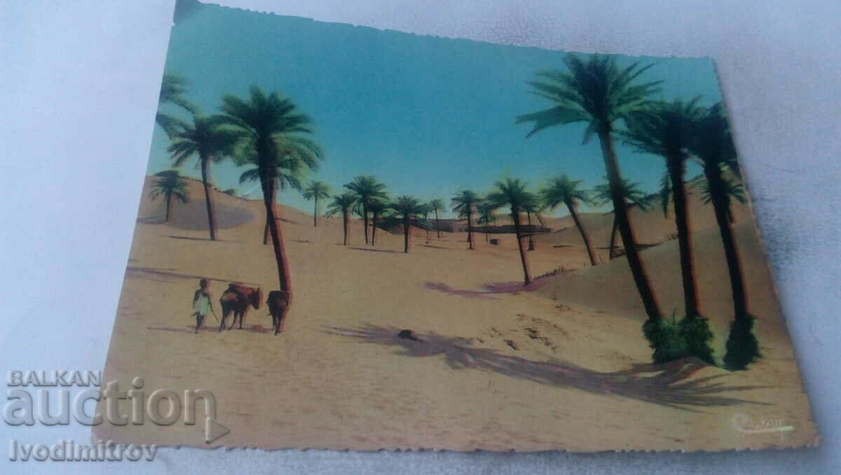 Postcard Dunes de Sable Evahissant I'Oasis