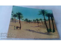 Carte poștală Dunes de Sable Evahissant I'Oasis