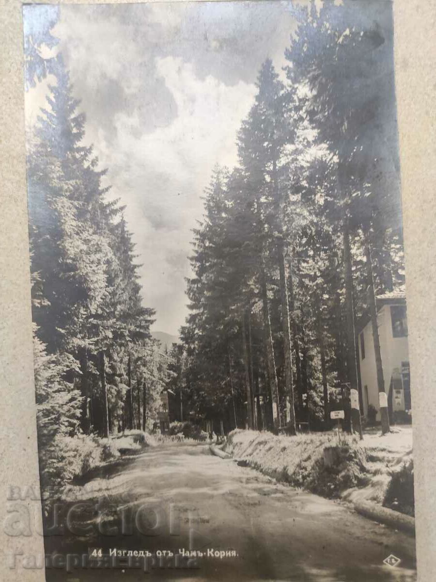 Old photo card Cham Coria with price 9.00 BGN | € 4.60